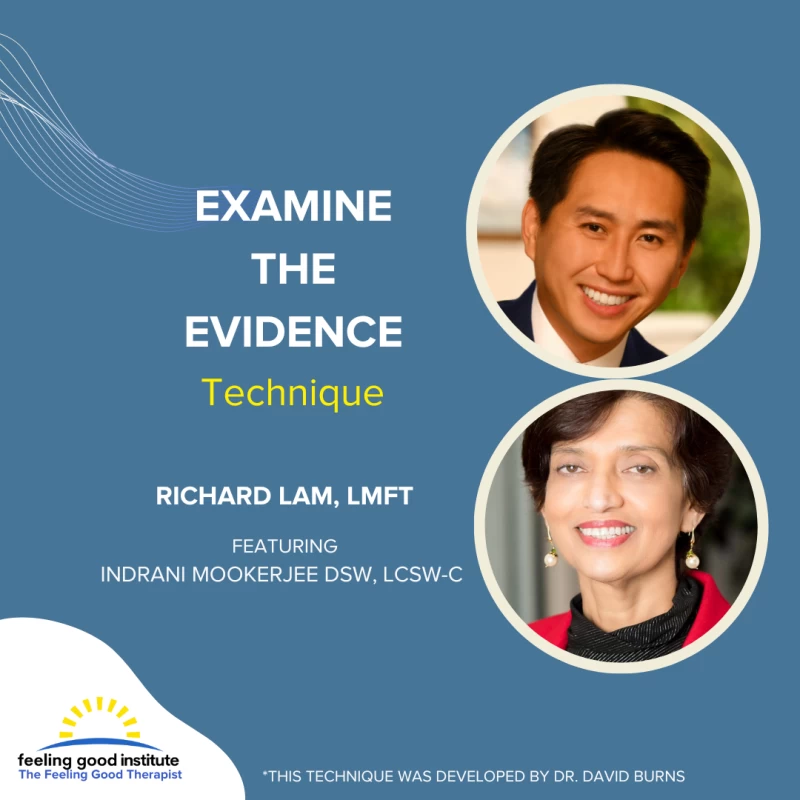 The Feeling Good Therapist - Examine the Evidence